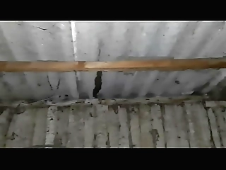 We hid from the rain in an abandoned place to have sex with dirty talk - Lesbian Illusion Girls